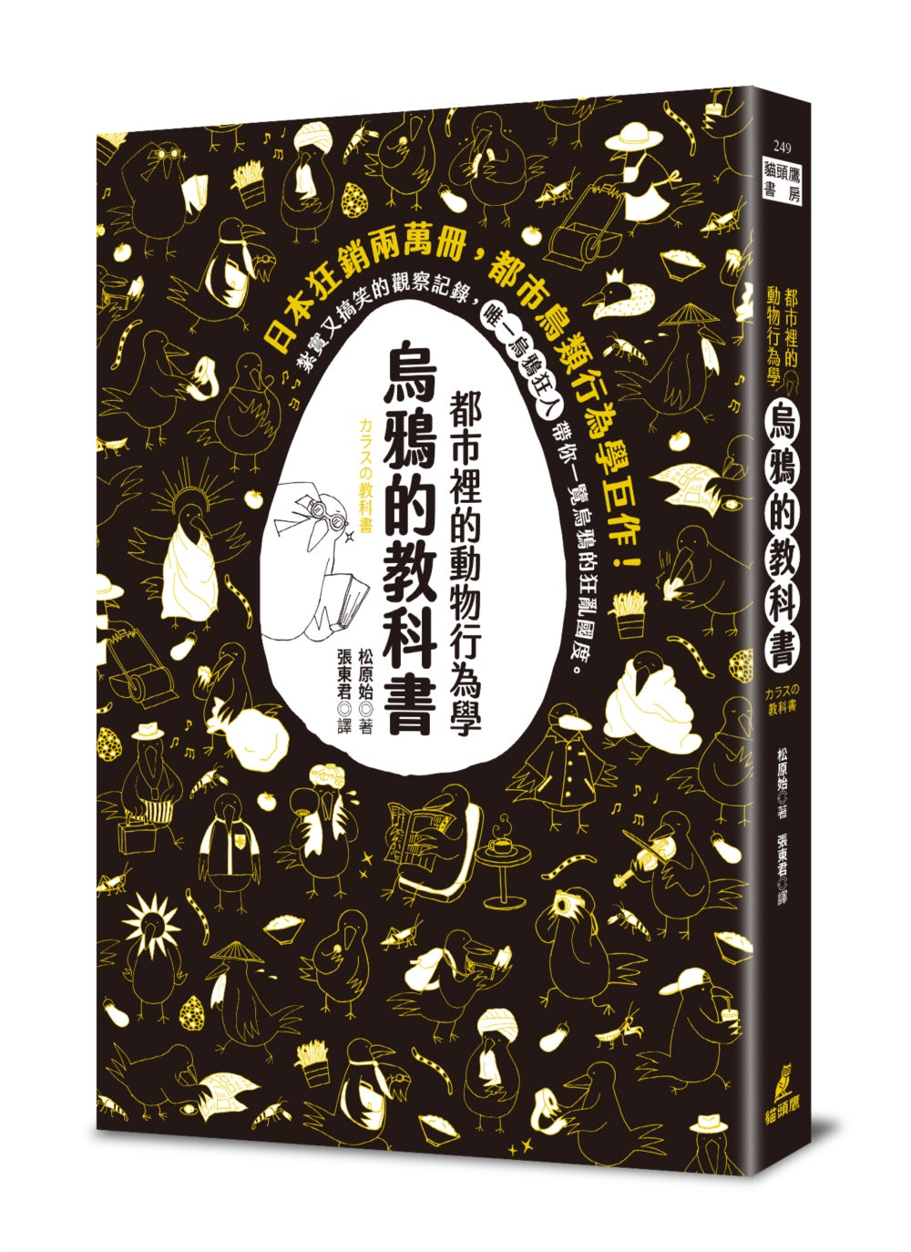 都市裡的動物行為學:烏鴉的教科書