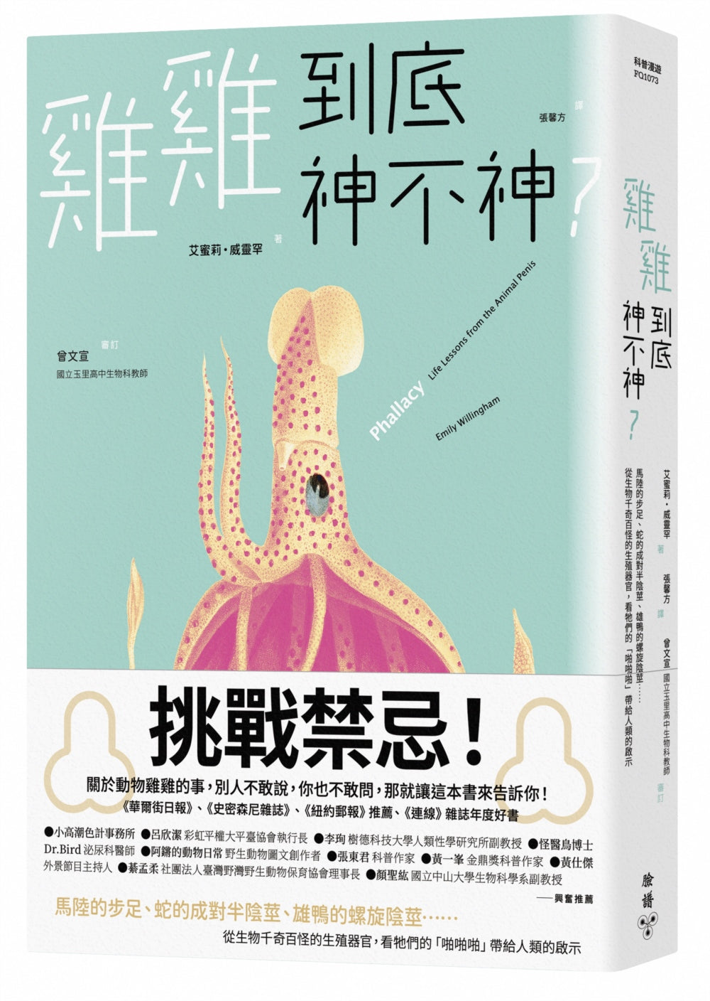 雞雞到底神不神?